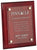 Acrylic 11"x14"x1/8" Clear Plaque Cover Beveled Polished Edges 4 Holes Sheet Award